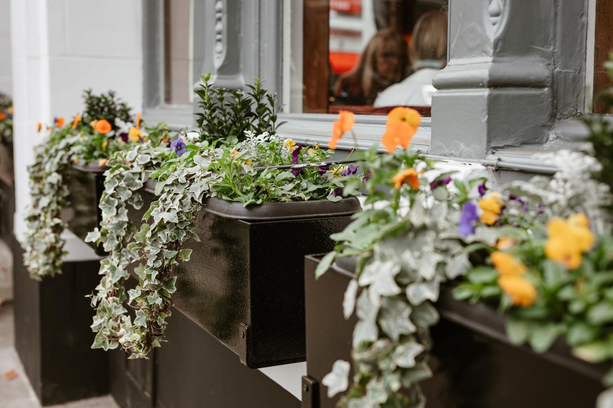 Hand & Flower London Luaran gambar